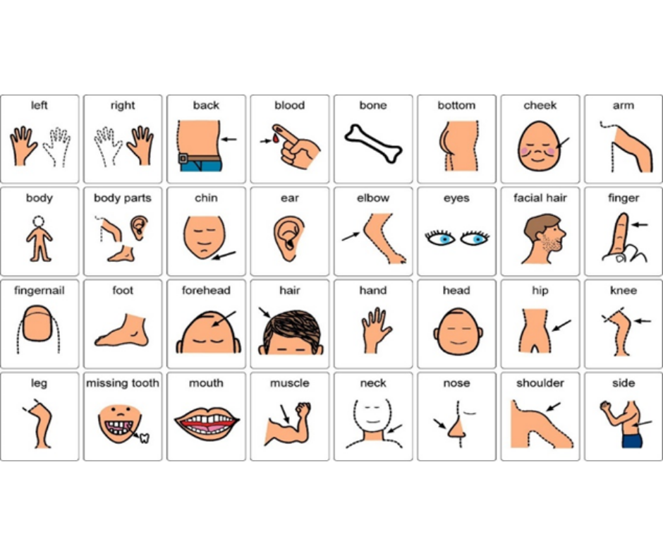 Images of different body parts and text labelling them, for example a drawing of a foot.