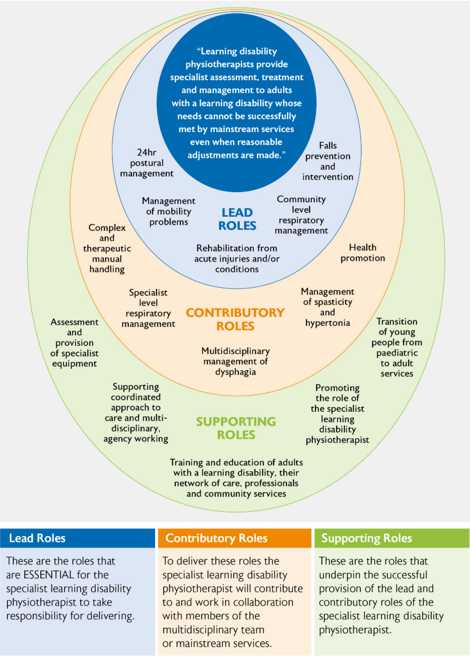 Diagram of standards of practice for physiotherapist working with adults with a learning disability.