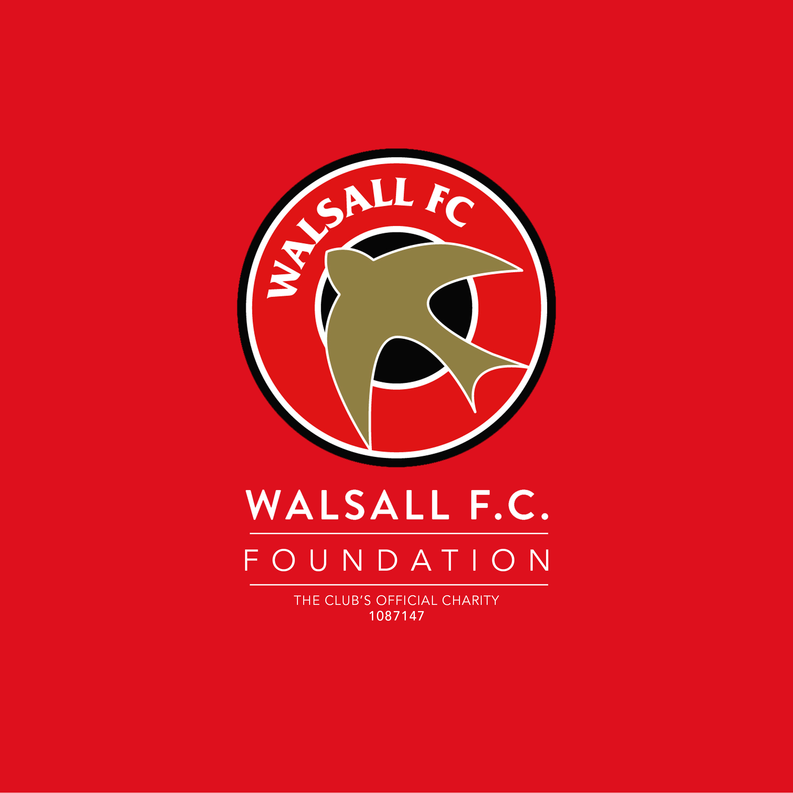 Walsall FC Foundation - Portrait Red.jpg